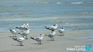 One Hello Toni Gonzaga