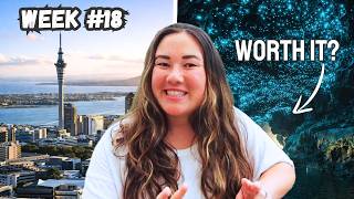 Visiting the Glowworm Caves in Auckland New Zealand (World Trip Week 18)