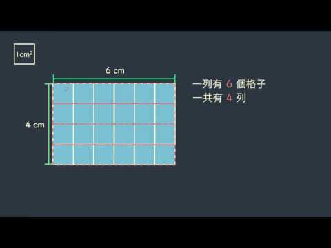1才面積