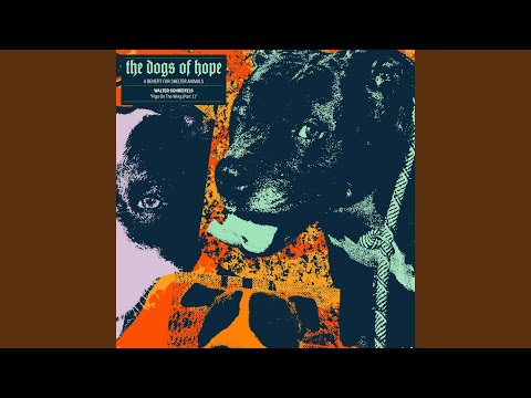 Video thumbnail for Pigs on the Wing, Pt. 1