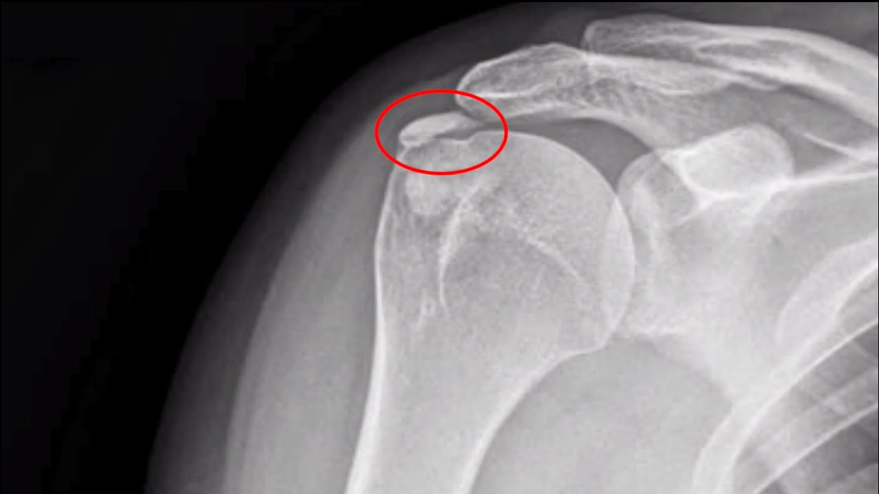 Daniele Passaretti-42