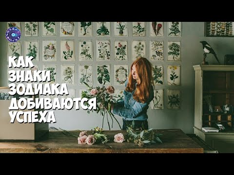 Как знаки зодиака добиваются успеха и заслуживают внимание окружающих