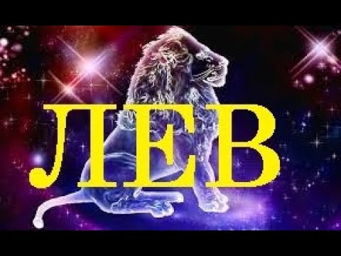 ЛЕВ / Какие комнатные цветы подходят по знаку ЗОДИАКА? / Галерея Цветов / Flower Gallery