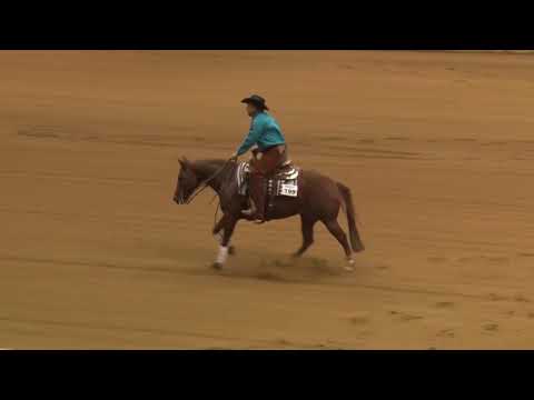 191102 Open Derby Tell Edgmon on Shiney Chexy Chic