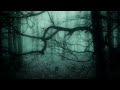 Chevelle Send The Pain Below Slowed Reverb