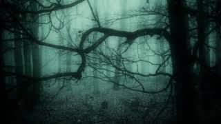 chevelle - send the pain below (slowed+reverb)