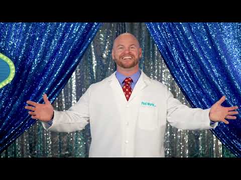 Will They Eat It?- Season 2 Episode 1: Baseball Cap