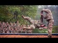 Military Shotokan Karate Is LETHAL