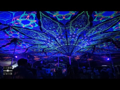 DM-Theory Live @ Ozora Festival 2022