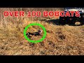 HE CAUGHT OVER 100 BOBCATS WITH THIS SIMPLE SET 4K