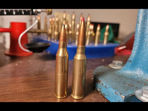 243 Winchester vs 6.5 Creedmoor