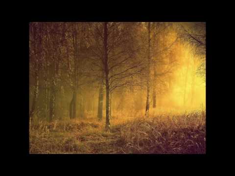 Mayawaska - Enter Nidra [Ambient Mix]