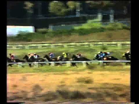 1986 Gr1 J&B Metropolitan Stakes