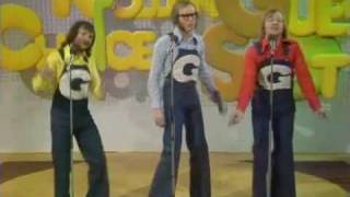 funky gibbon - the goodies