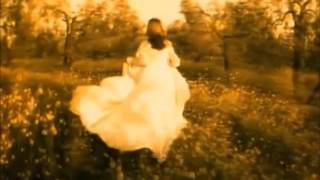 Crime Of Passion   Mike Oldfield  One Night Mix 2016