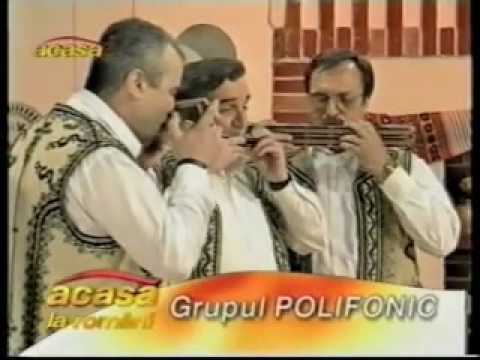 Trio Polifonic - Sarba din Leresti