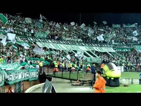 "Yo sigo al verdolaga en las buenas y malas â™«â™« Nacional vs Huila 2014" Barra: Los del Sur • Club: Atlético Nacional