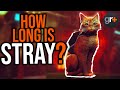 5 Things you Need to Know About Stray... | GamesRadar