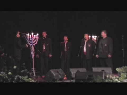 Klapa Grobnik Izresla ruža rumena