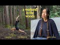 Campen Mit Mir Im Wald Ein Vorgeschmack Auf Ein Einfaches Leben Heilung Wohlbefinden