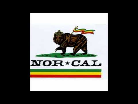 COTTI & CLUEKID - SENSI DUB.wmv