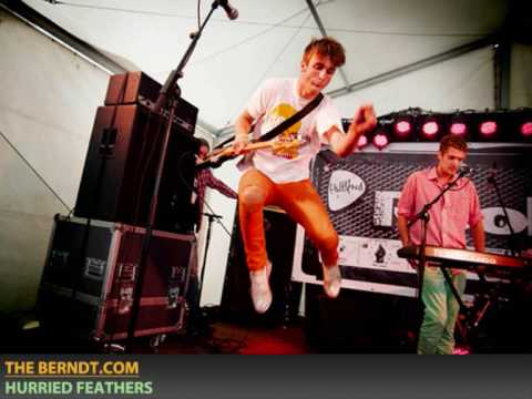 Theo Berndt - Hurried Feathers