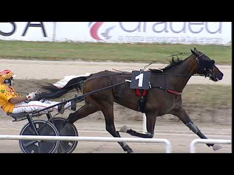 Napoli Trotto 21/09/2023 - 8ª corsa