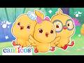 Los Pollitos Dicen Pio Pio Pio Y Más Canciones Infantiles Populares Canticosworld
