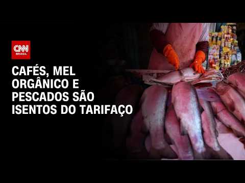Pescados e mel orgânico são incluídos na lista de isenções de taxação dos EUA | CNN AGRO NEWS