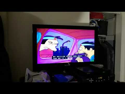 Simpson's  poison puffer fish