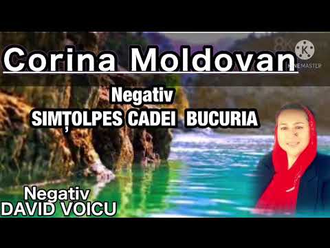 CORINA MOLDOVAN - NEGATIV ORIGINAL ( SE SIMTE BUCURIA ÎN LIMBA ROMANI )VIDEO OFICIAL