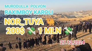 NOR_TUYA 🐫 200$💸 1 MLN💶  #MURODULLA RAXIMBOY #KAROLI BN