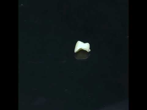 YouTube 썸네일