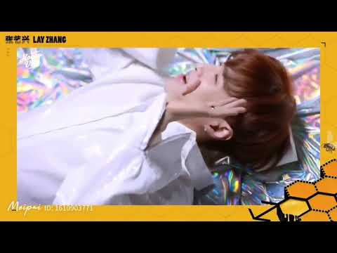 Zhang Yixing Studio Update