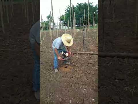 #montagem de estufa Japira e região Paraná #estufa#