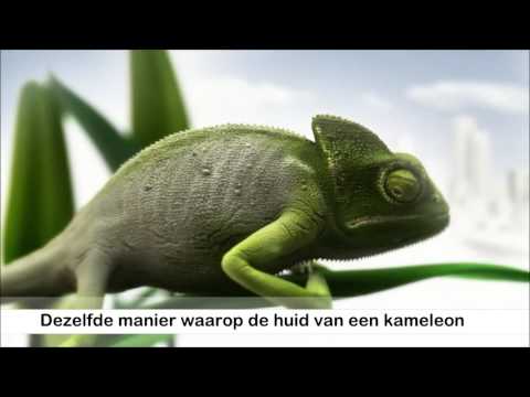 Phonak Belong Kameleon