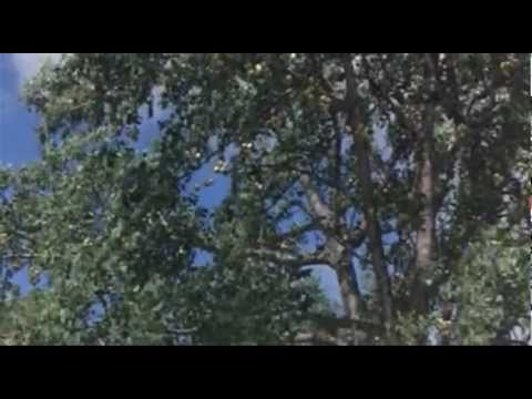 Happy Hour In The Animal Kingdom - Hilarious!