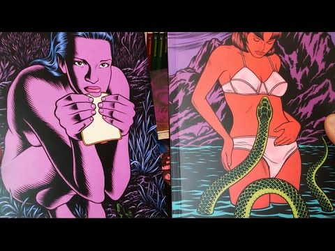 panellogy 145 - charles burns #3 - black hole