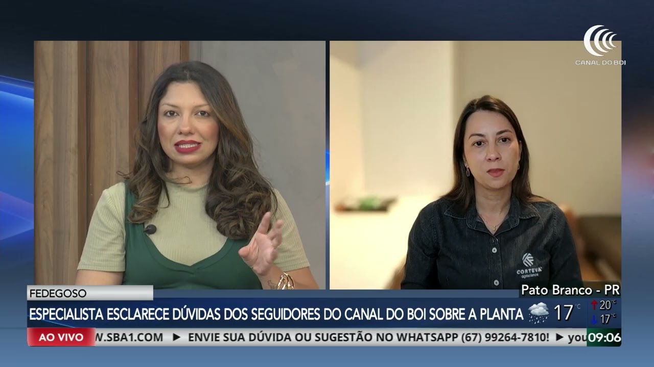 Bom Dia Produtor repercute dúvidas sobre o fedegoso