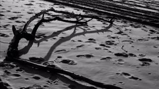 Cette blessure - Léo Ferré