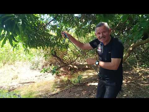 Lagoinha no centro da cidade São João D'aliança Goiás.