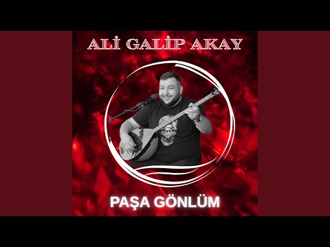 Paşa Gönlüm