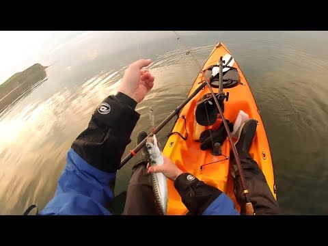 Mackerel Fishing on Light Tackle - UK - Having some fun Kayak Mackerel Fishing - GoPro