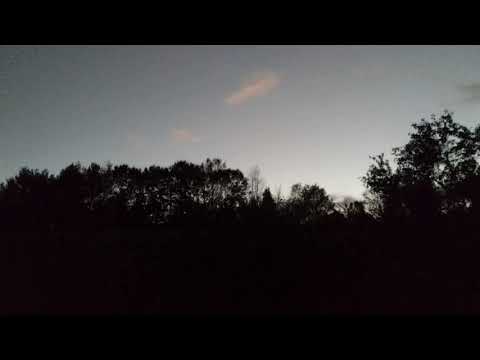 Field Notes Friday: Barred Owl Call