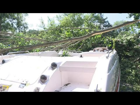 Strong winds topple trees, cause damage in Merrimac