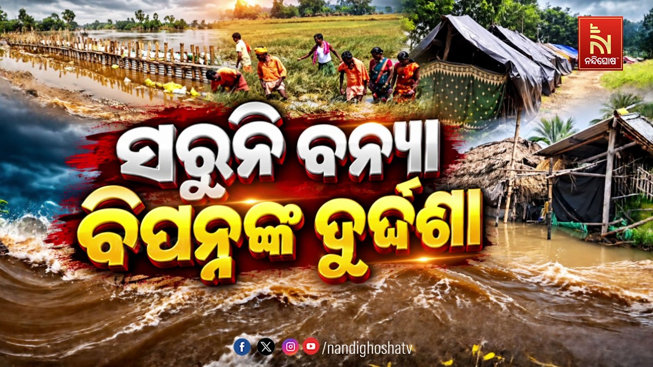 🔴Live | ସରୁନି ବନ୍ୟା ବିପନ୍ନଙ୍କ ଦୁର୍ଦ୍ଦଶା | NandighoshaTV
