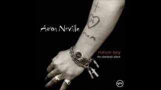 In The Still of the Night - Aaron Neville