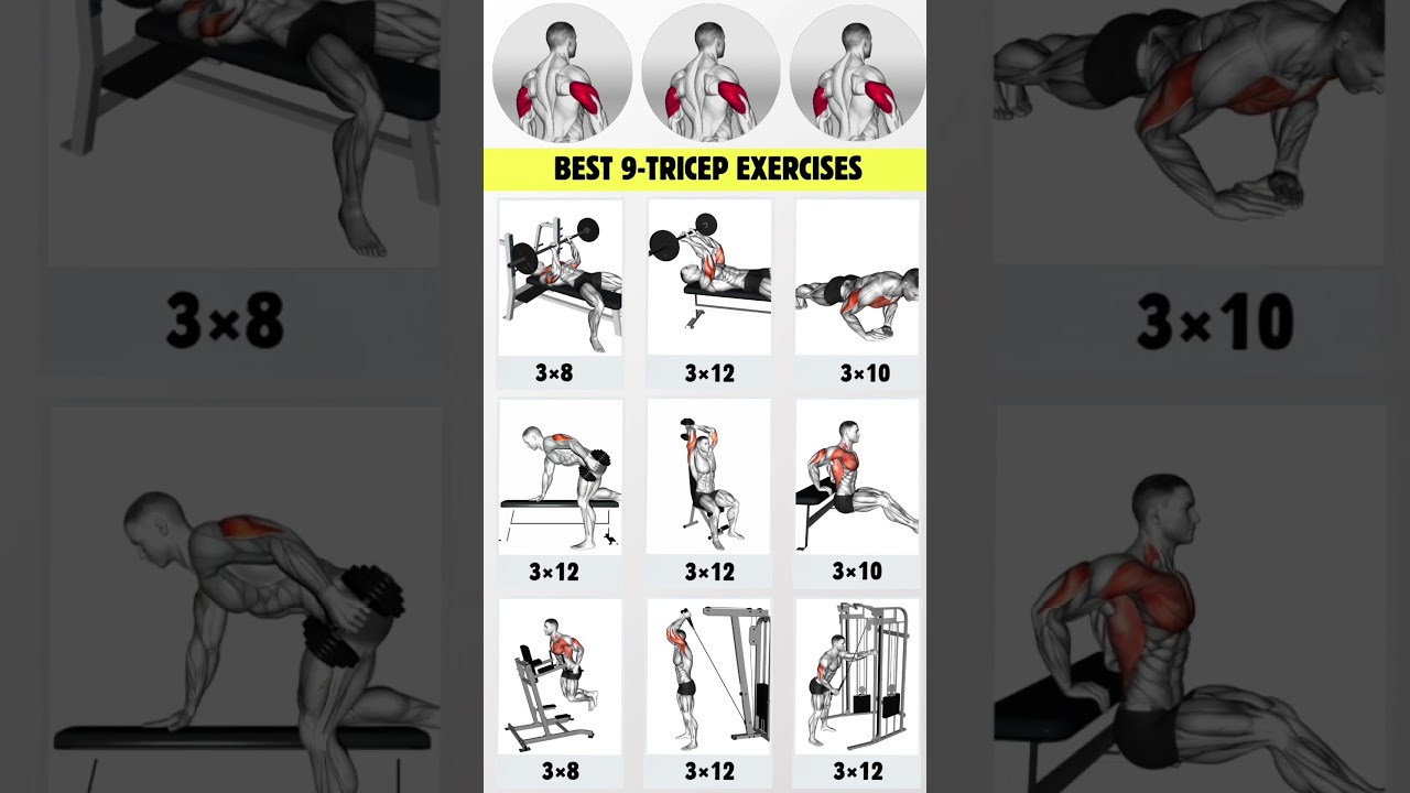 9 Best Tricep Exercises By Equipment #tricepsexercise #triceps