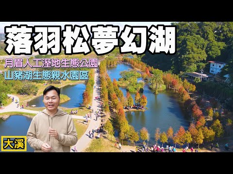 ¡Bellamente aturdido! Taoyuan ``Landing Pine Dream Lake'', bosque acuático de ensueño súper hermoso, reflejo junto al lago, hermosa pintura impresionista. ¡Parque Ecológico Meiliyuan con un entorno claro y hermoso cerca de Shunyu-Yin! | Parque Ecológico del Canal Artificial Yumei, Parque Acuático Ecológico del Lago Shanfeng | Lugar Escénico de Taoyuan, Lugar Escénico de Daxi, Lugar Escénico del Pino Caído del Premio Taoyuan