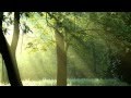 Antonio Lucio Vivaldi - Tosco Fantasy 